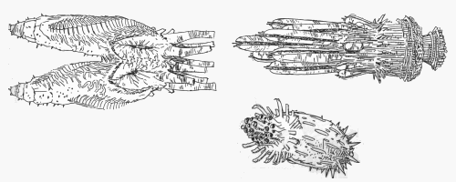 Alien ships